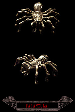 Spider